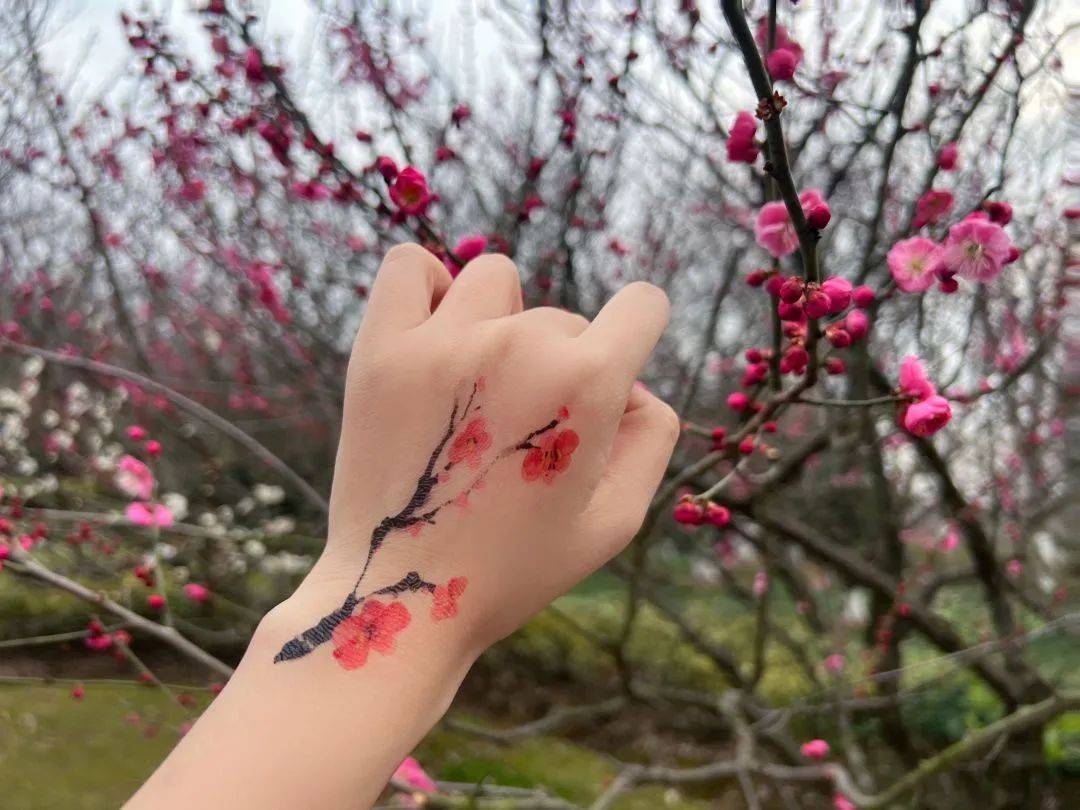 为游园增添一份乐趣贴上梅花形状的彩贴现场游客免费体验梅花印记当前