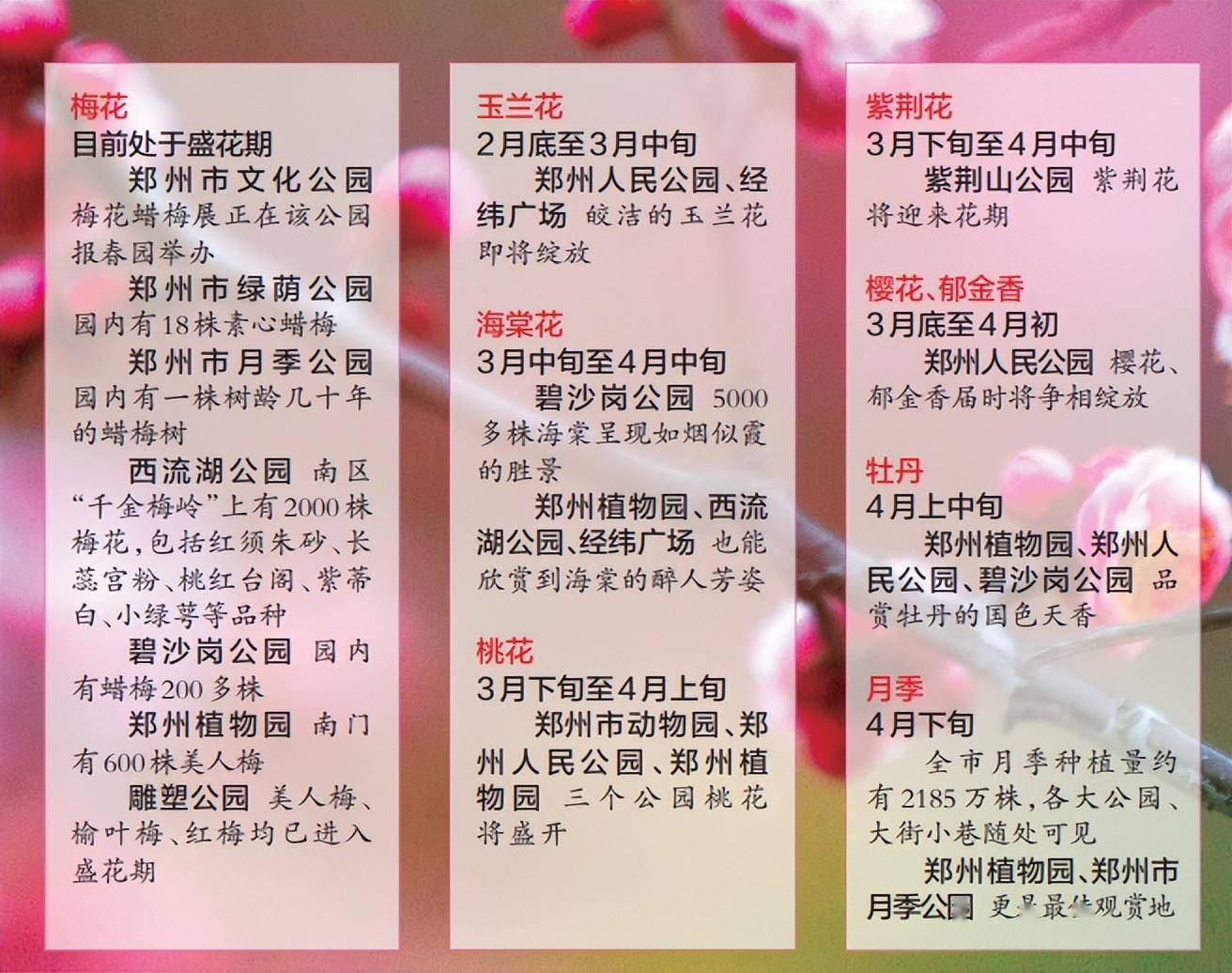 春到郑州 按“时”按“点”去赏花