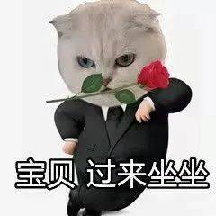 愿你早日学会逢场作戏,愿你早点习惯物是人非,毕竟不是每一个人都和