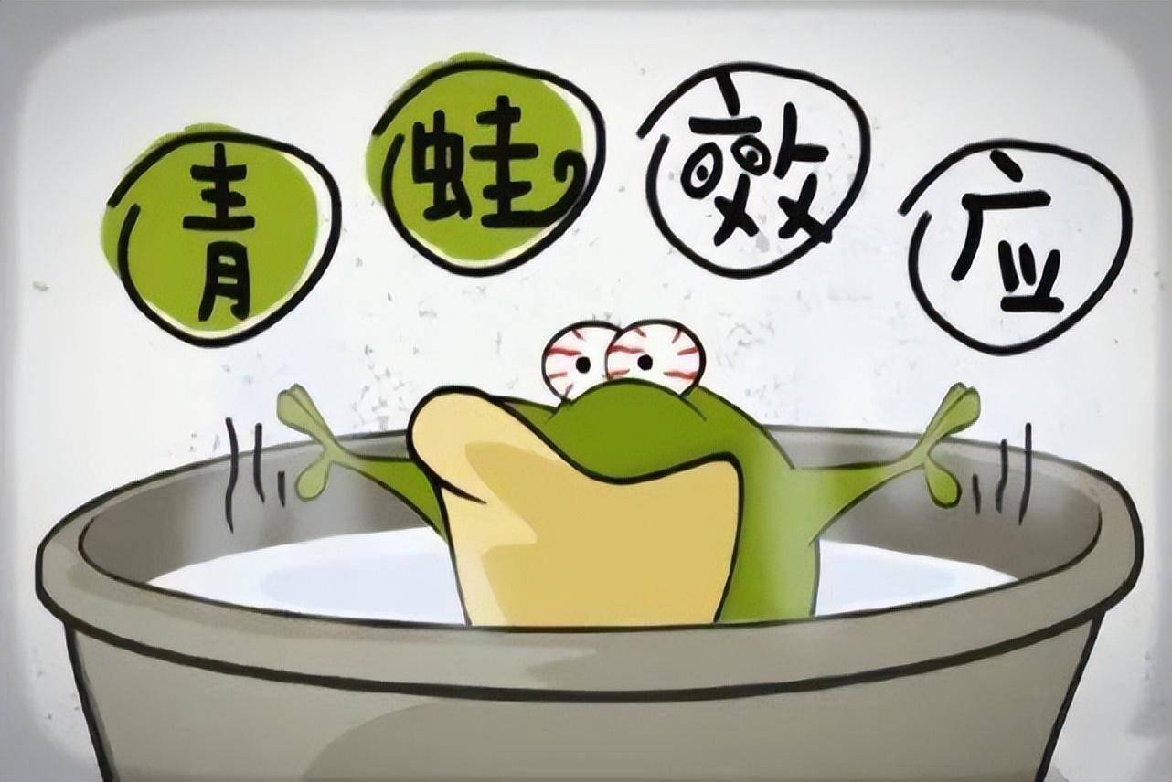 和动物有关的"趣味"心理效应!_青蛙_现象_人们