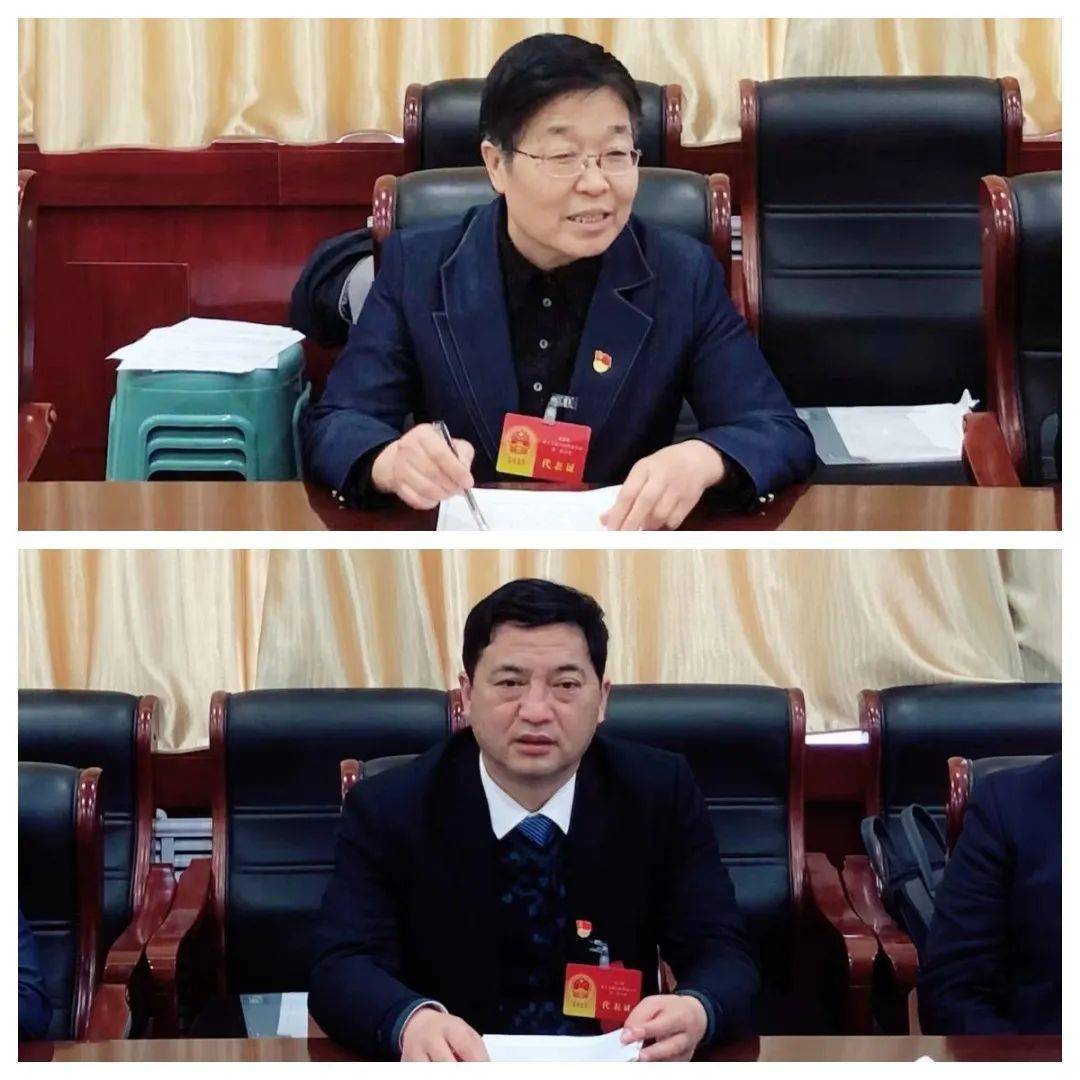 【人代会动态】凝心谋发展 聚力谱新篇——市十五届