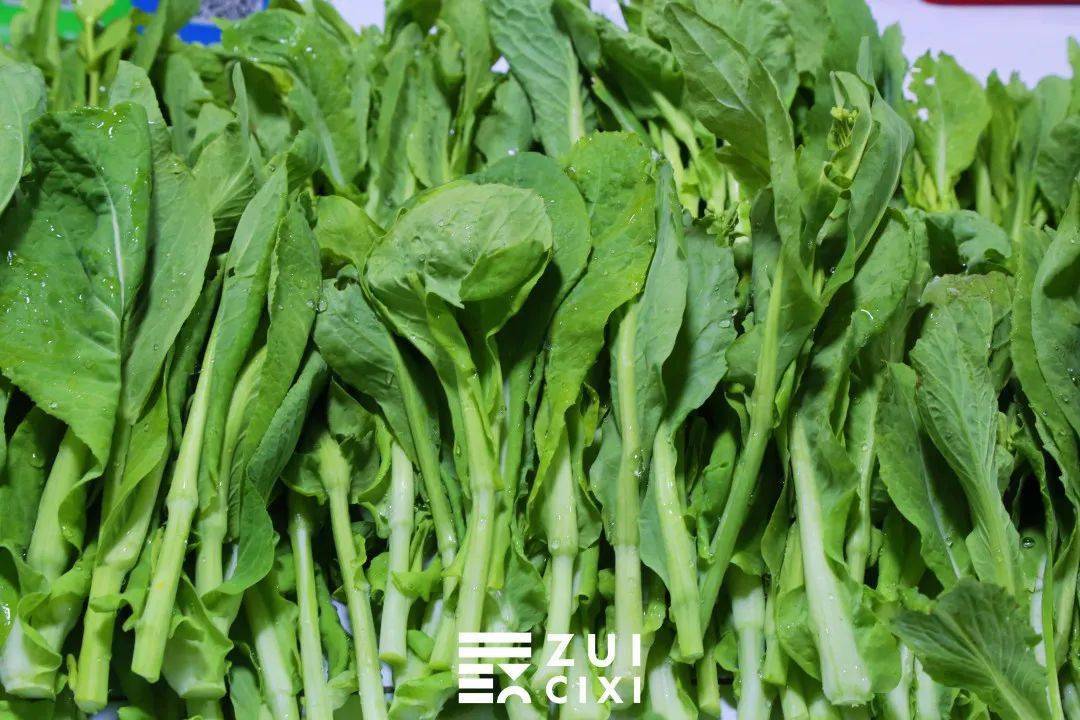 每年的二三月份,是菜蕻大量上市的好时节.