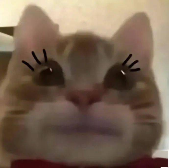 歪嘴小猫!收集一下!_可可_网络_表情