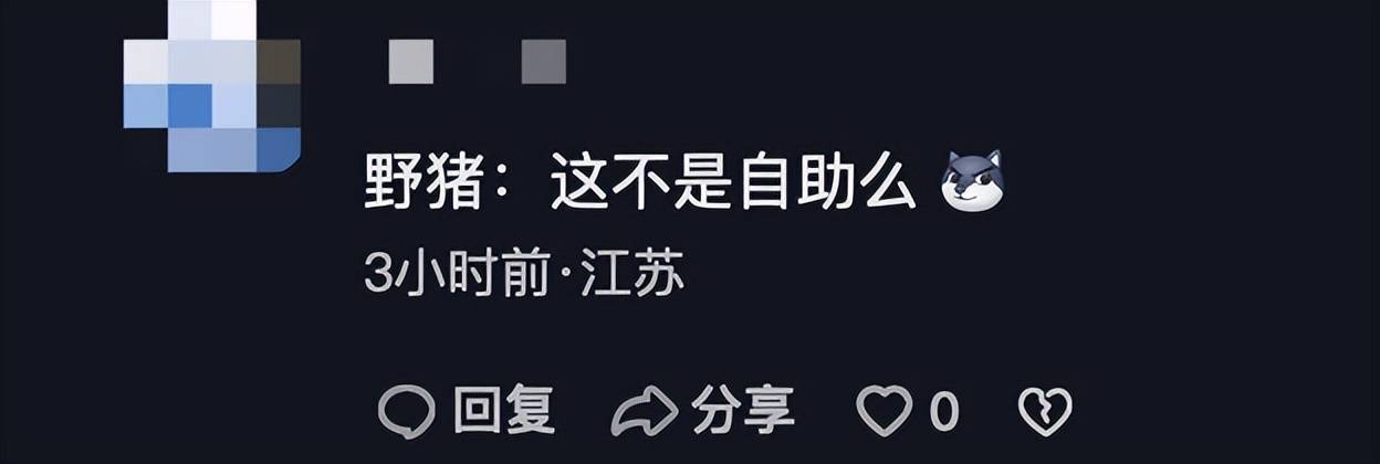 自助夜宵！200斤野猪凌晨偷吃大学生外卖，学生：5分钟大要吃了5份，学校不行那一只野猪