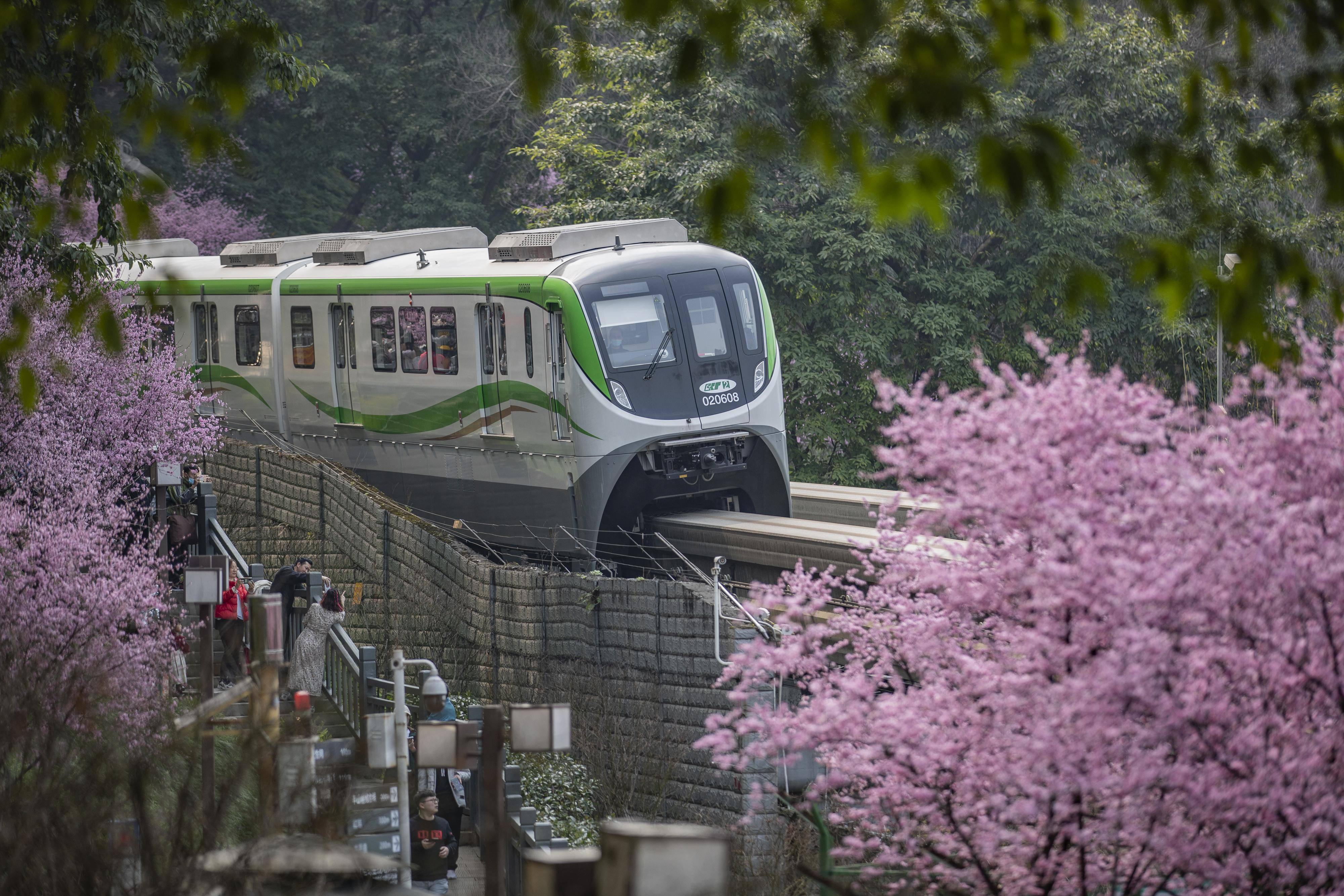 重庆轨道交通地铁族图片