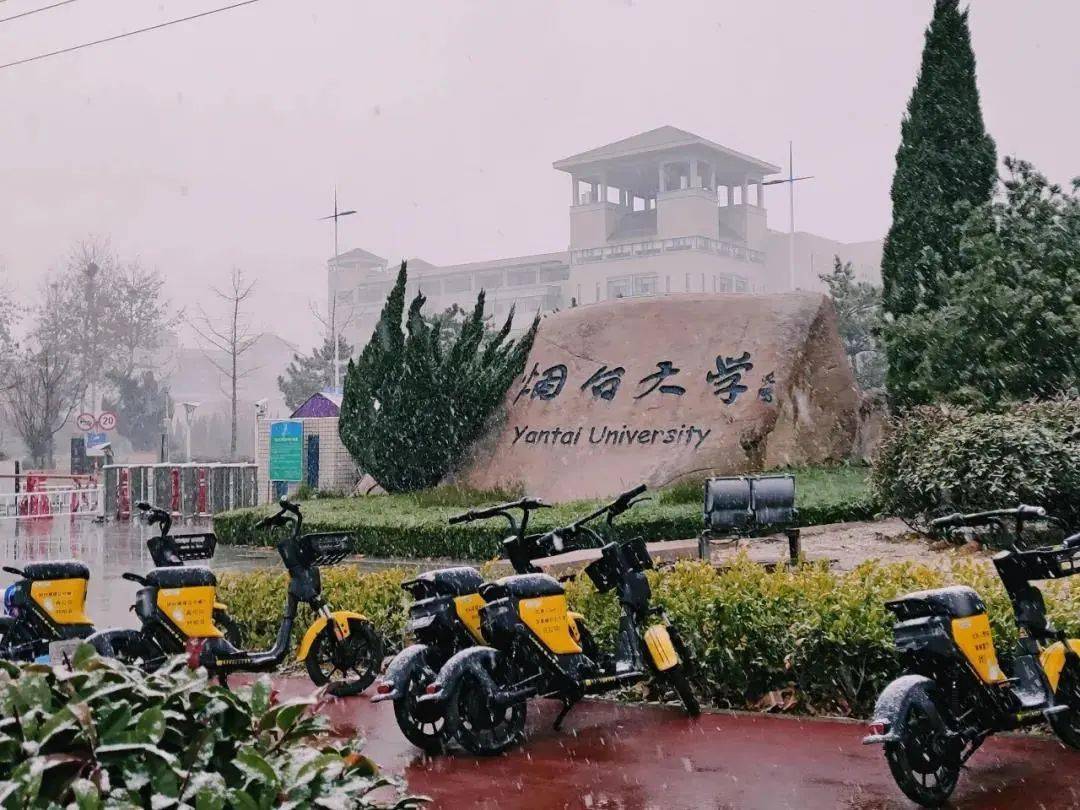 山东省城市服务技师学院_山东城市服务职业学院_烟台城市科技职业学院