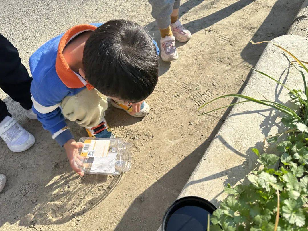 们各自拿着自己的捕蚁工具,来到先前自己去探索的地点,继续寻找蚂蚁