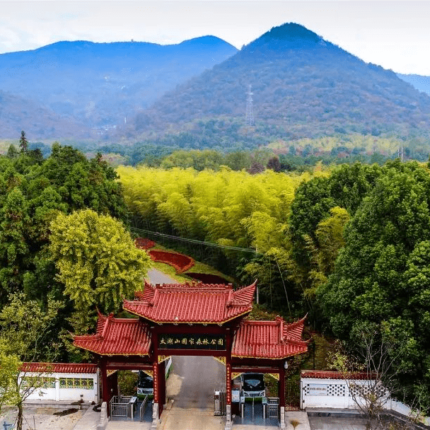 踏青出游,不负春光_含山县_太湖_生活