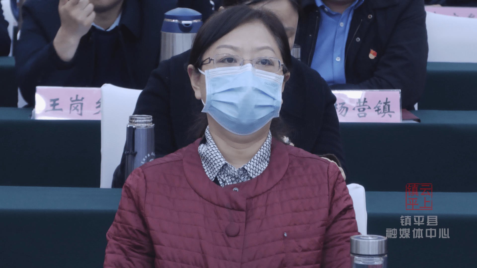 县委副书记,县长黄静,县委常委,副县长薛江峰,副县长陈云峰在镇平分