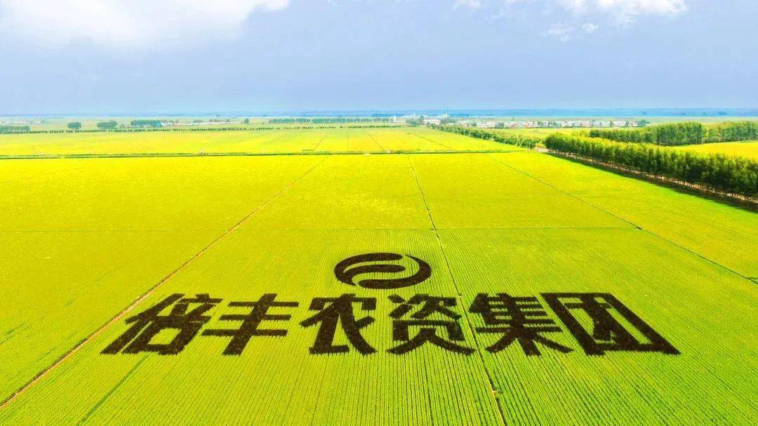 【与道外 共未来】黑龙江倍丰农业生产资料集团有限公司_发展_企业