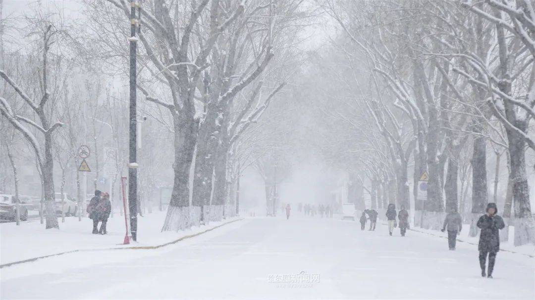 三月的雪花能够有多都雅