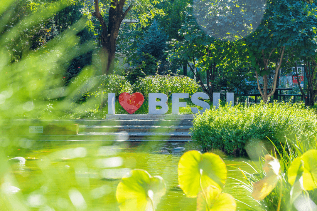 bfsu限定壁纸|人间三月,拾花酿春_制图_党委宣传部_林之园