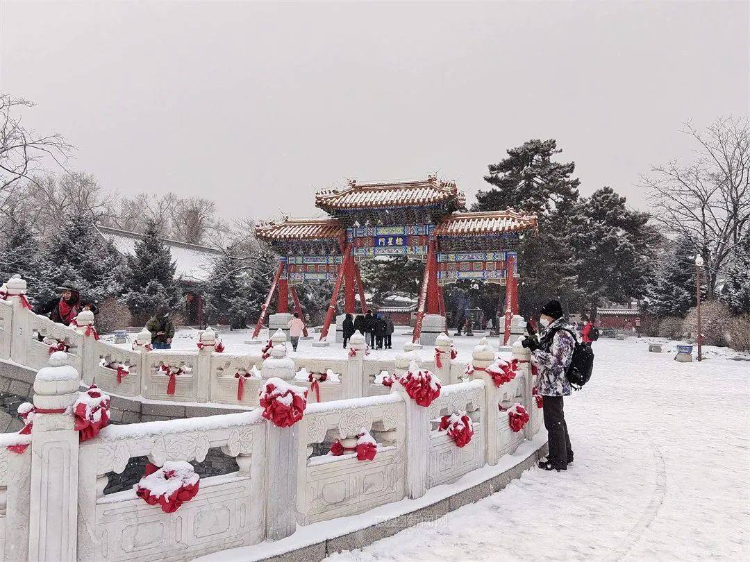 三月的雪花能够有多都雅