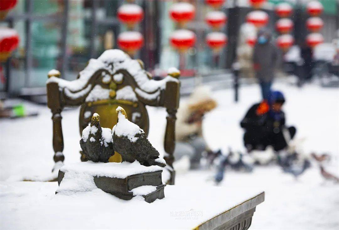 三月的雪花能够有多都雅