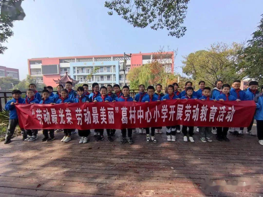 学习二十大 争做好队员