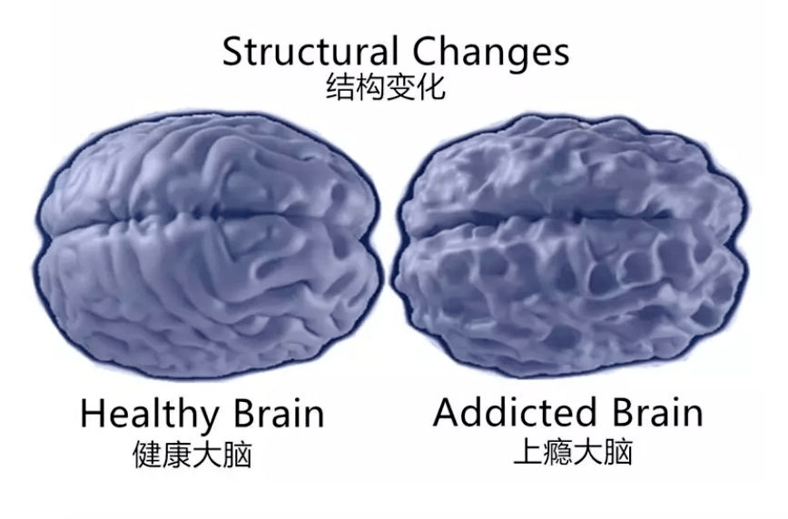 为什么电子游戏是男孩生长的第二大陷阱？MIT心理专家说透了本相