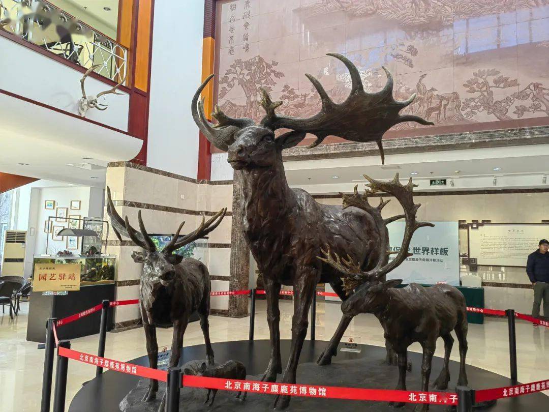 南海子麋鹿苑博物馆新展开幕!