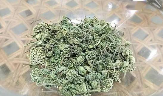 罗汉果花（罗汉果花和罗汉果效果一样吗） 第13张