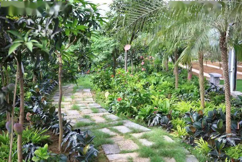 山东省农业科学院授予儒源小镇农耕文化科普基地_曲阜_科技_合作