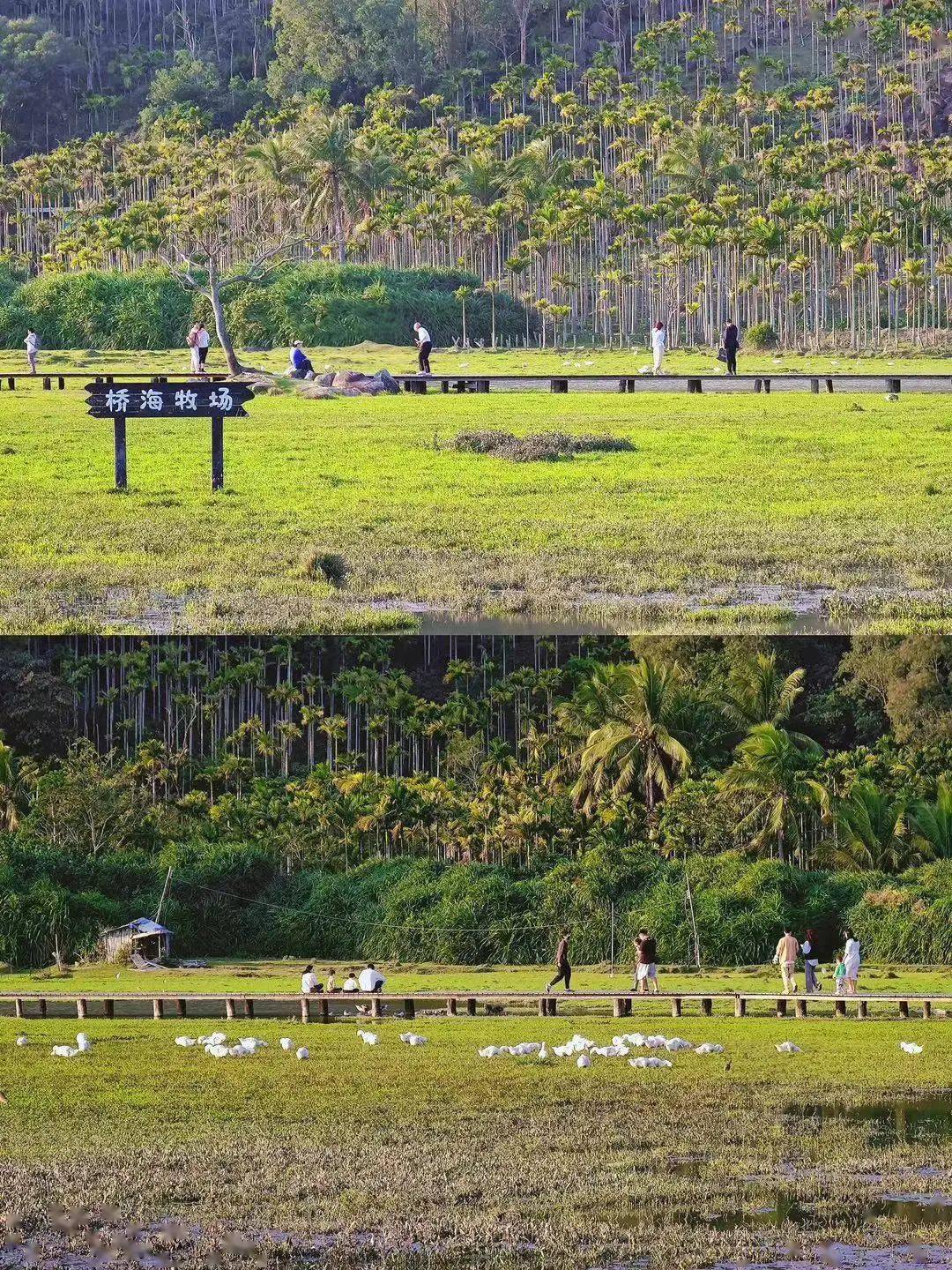 看完《夏花》一定要收藏这篇文章,多部影视剧,综艺取景地合集!