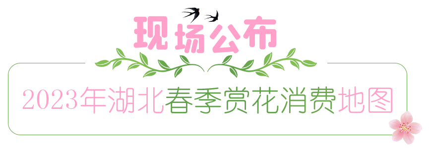 昨晚，十堰正式启动，不断到31日！