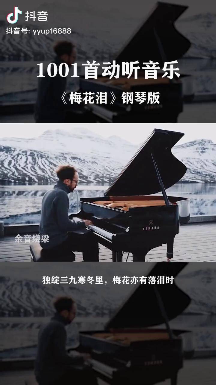 梅花泪钢琴曲图片