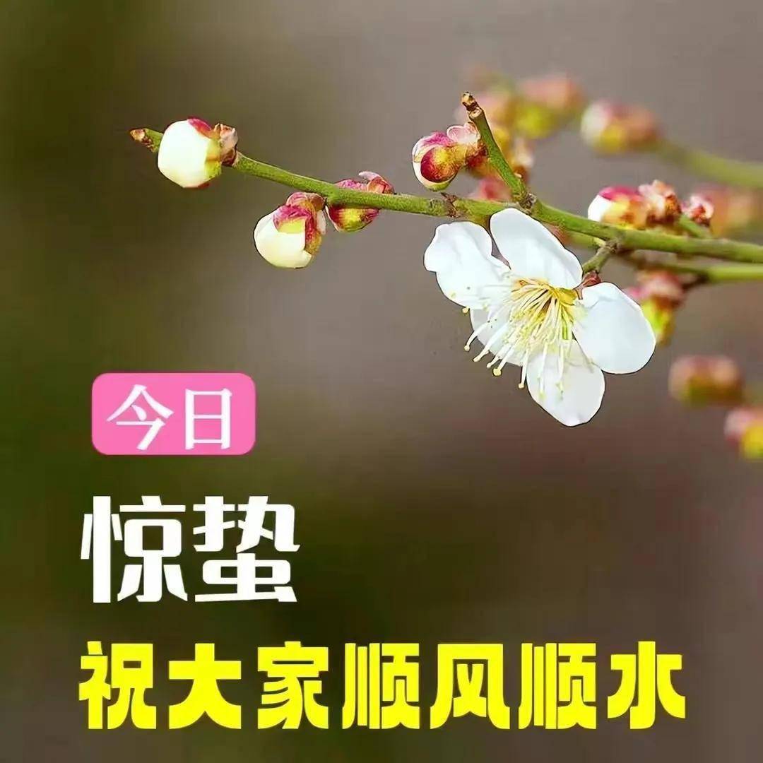 驚蟄,春暖花開,萬物復甦,今天打小人無是非,吃梨無病痛,祭雷神蒙鼓皮