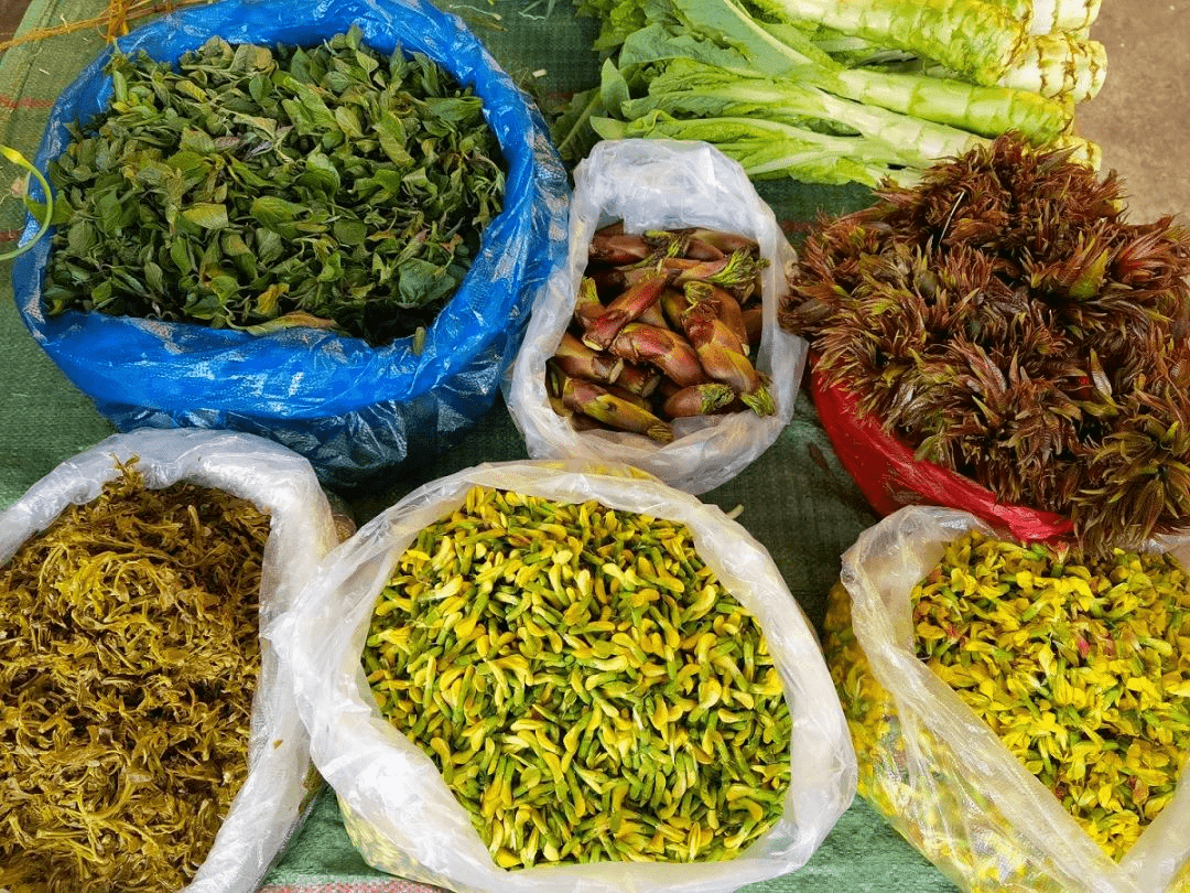 野花和野菜色澤鮮豔的樹番茄鮮嫩可口的白花青翠欲滴的火鐮菜等野花