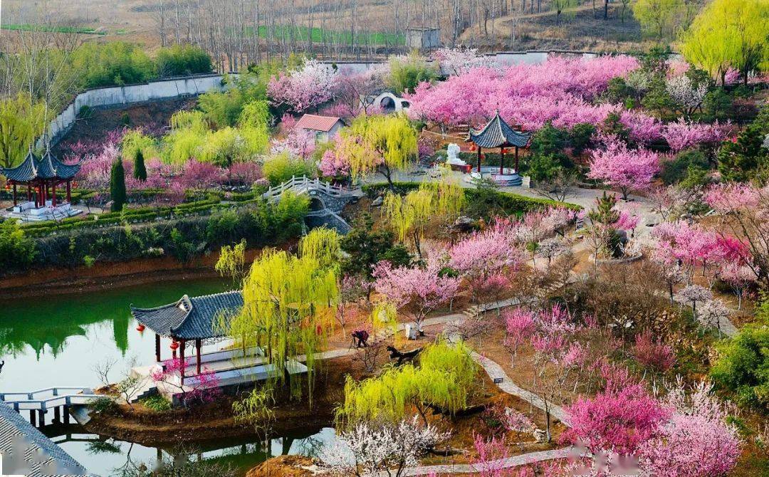 12号(周日)沂水雪山梅园赏梅 彩虹谷休闲踏春一日游_活动_主要景点