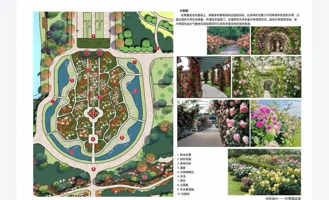 "一轴"上的月季园将是其中一个重点改造区域,市建设局将对现有月季