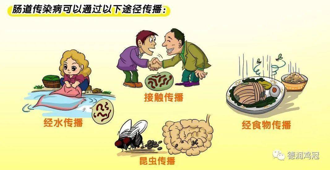 【创建国家卫生城市】传染病健康科普——甲肝_传播_症状_污染