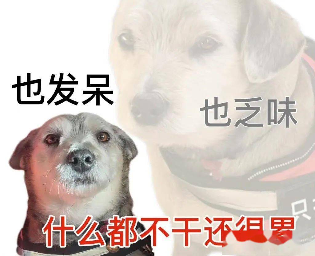 表情包|很内向 出门都走下水道_开心_版权_礼物