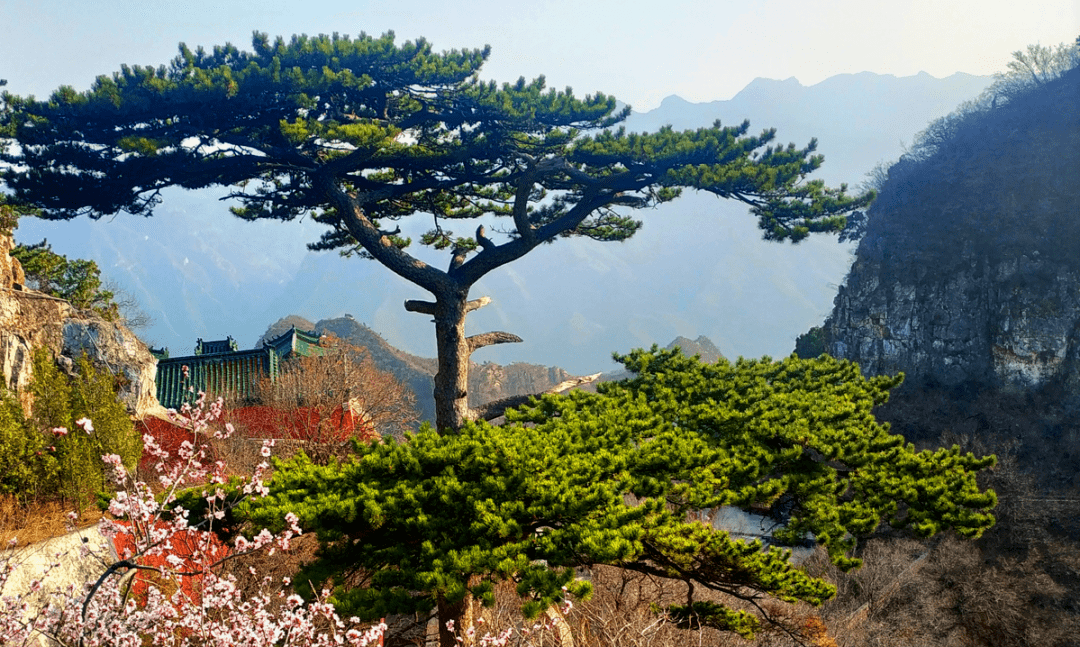 女神节福利！那是房山许你的浪漫→