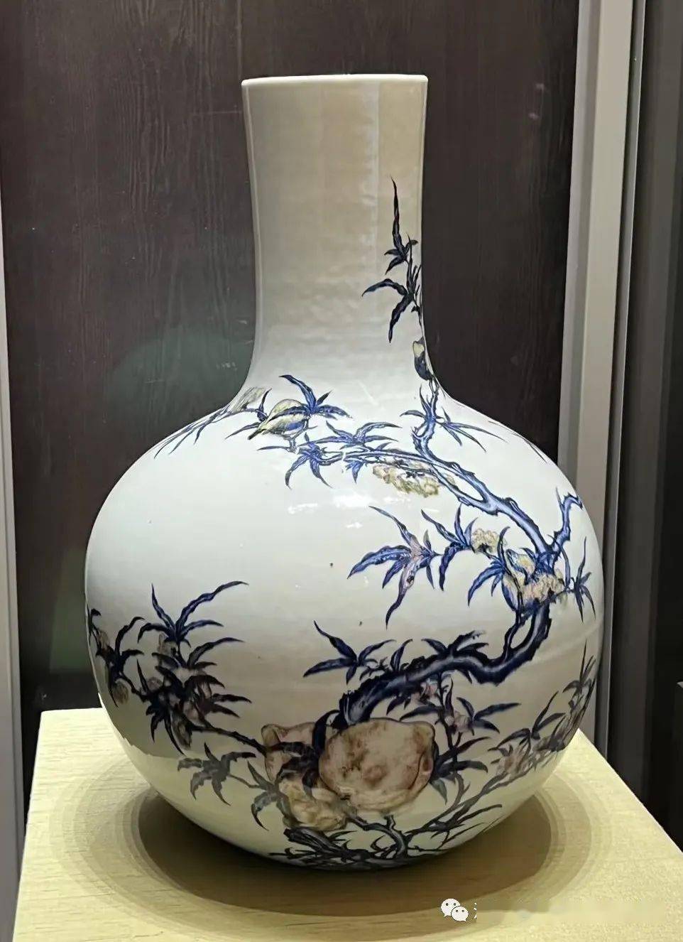 苏州博物馆西馆藏瓷有珍宝,洛阳古瓷鉴藏博物馆陈树威馆长前去考察