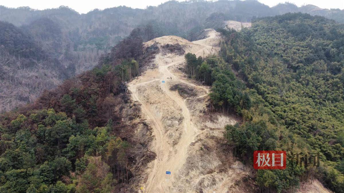 志愿者在重庆缙云山种下新绿_防火_北碚区_隔离带