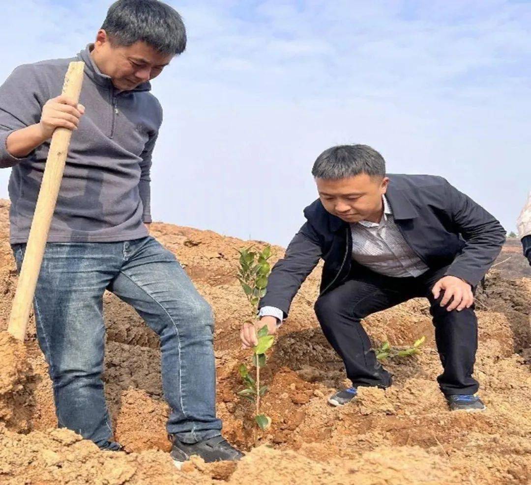 【乡村振兴】广丰桐畈镇:阳春三月植树忙_活动_生态_义务