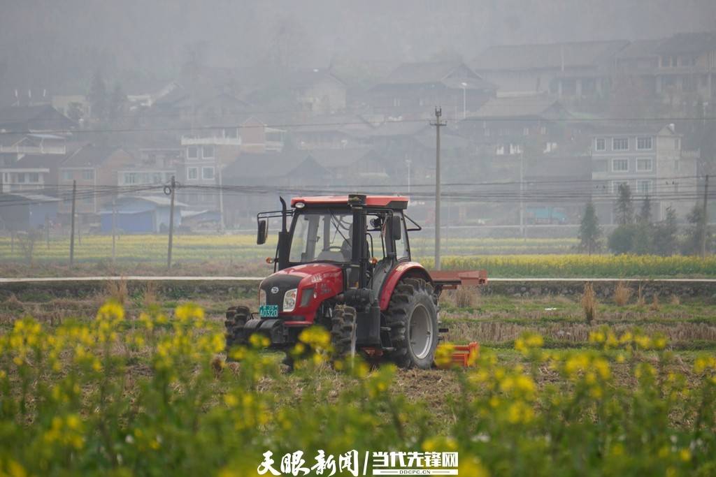 剑河:田间地头农机耕作出效益_综合_种养_水稻