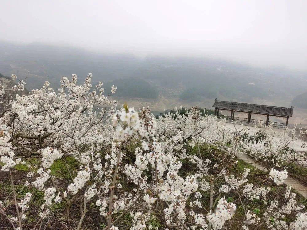 开阳县花梨镇图片