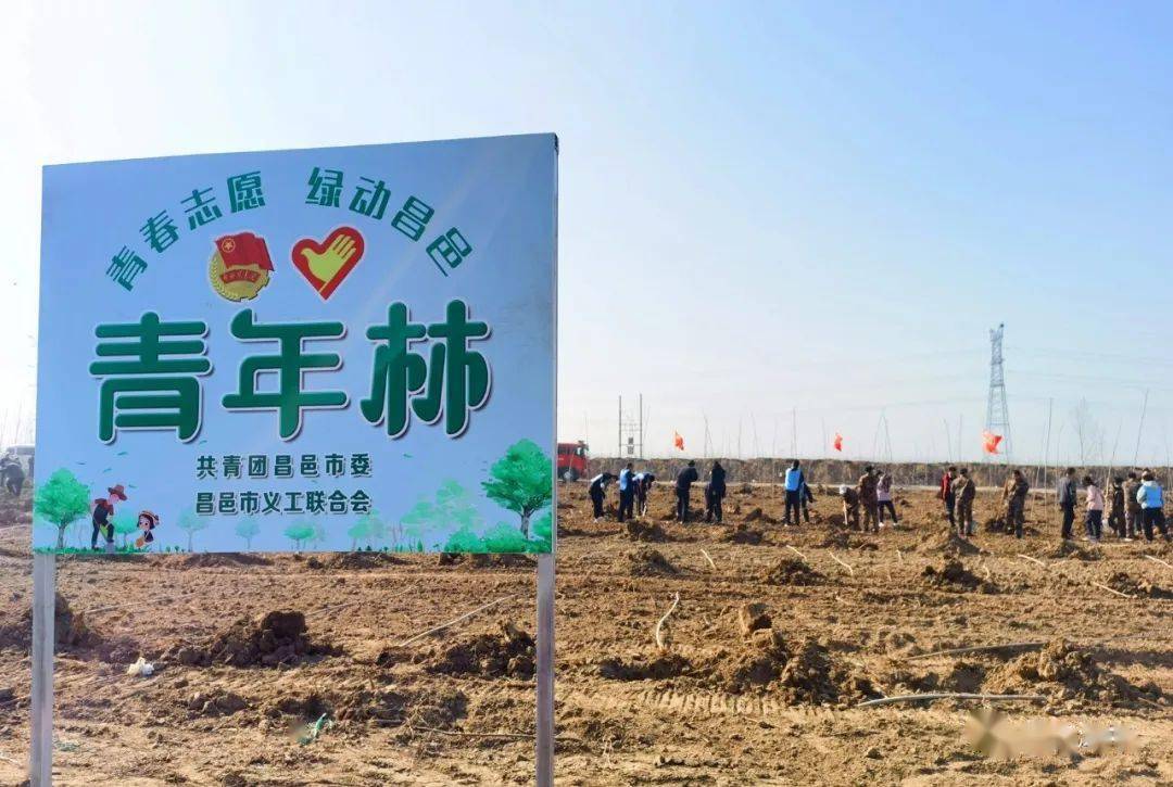 植树节 | 昌邑志愿者建设"青年林""义工林"_活动_树苗_单位