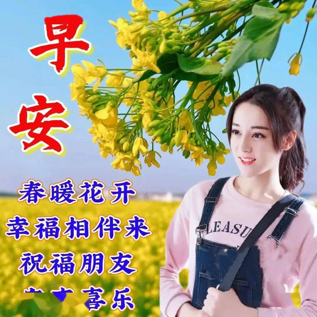 姐姐早上好带字图片图片