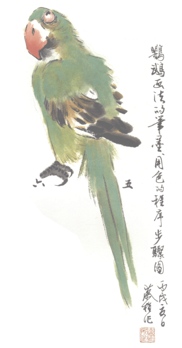 一学就会画写意《玉兰鹦鹉》_画法_羽冠_步骤