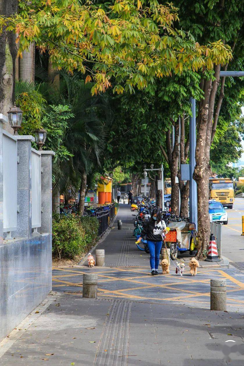 深圳福田赤尾村图片