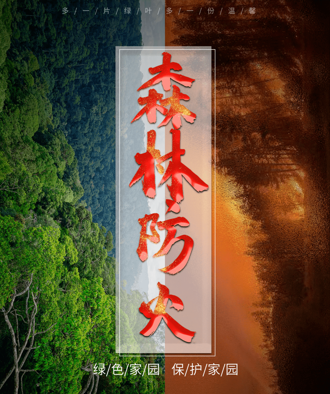 森林防火正当时,这些知识请牢记_火灾_方向_树冠
