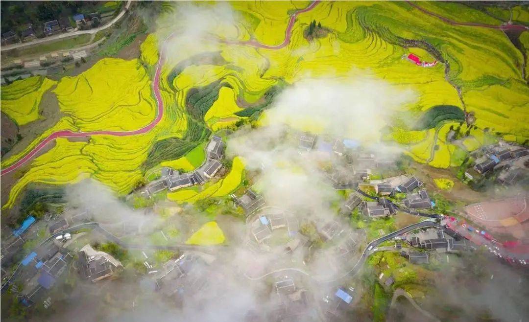 位于余庆县大乌江镇红渡村,油菜种植面积1000亩.