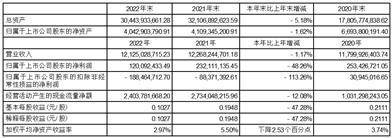 天虹数科贸易股份有限公司2022年度陈述摘要