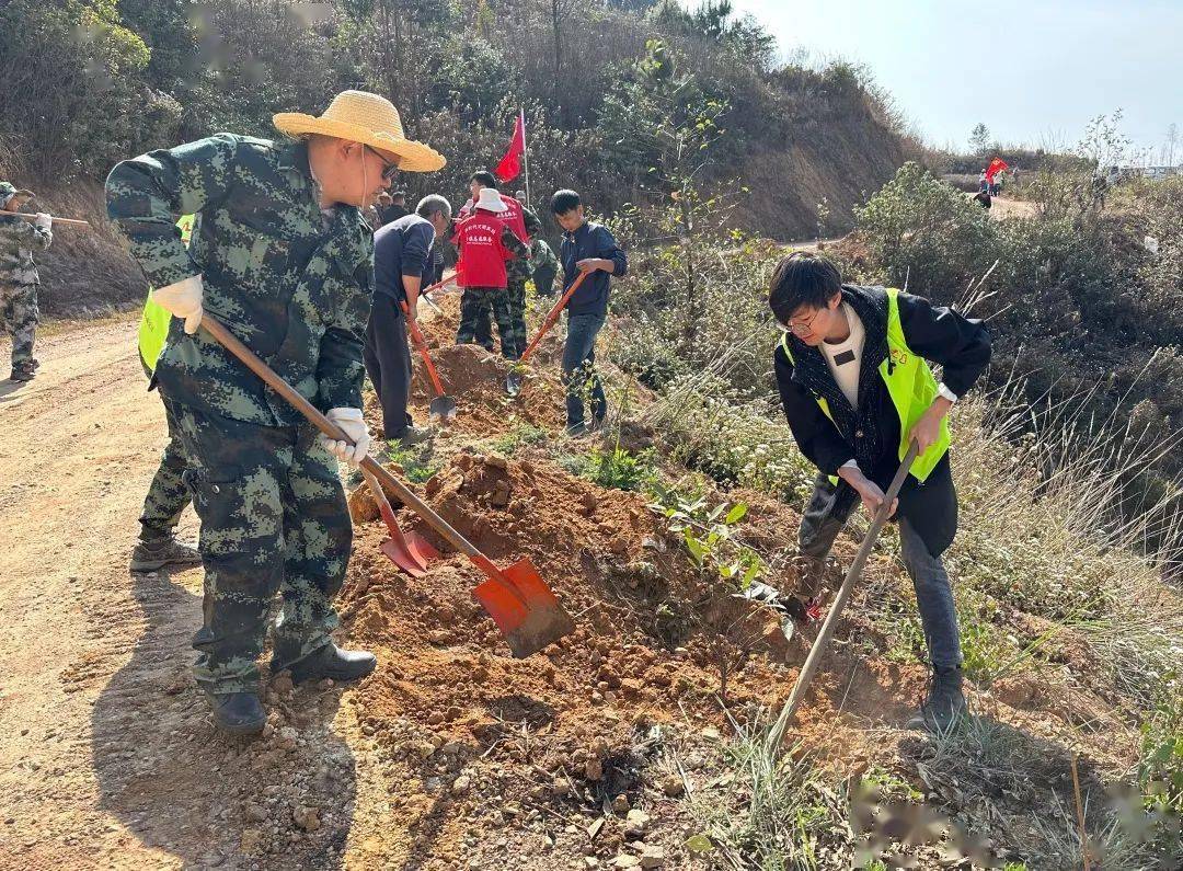 通海团县委组织开展生态环保志愿服务活动_青年_建设_文明