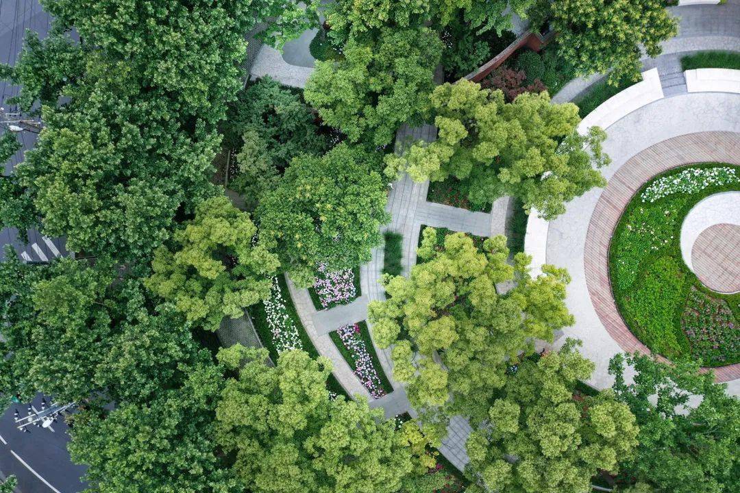 上海曹家渡花园口袋公园更新设计_空间_绿化_场地