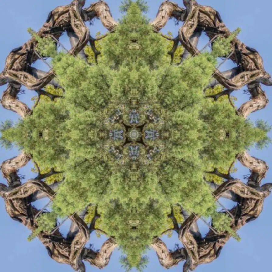 万花筒