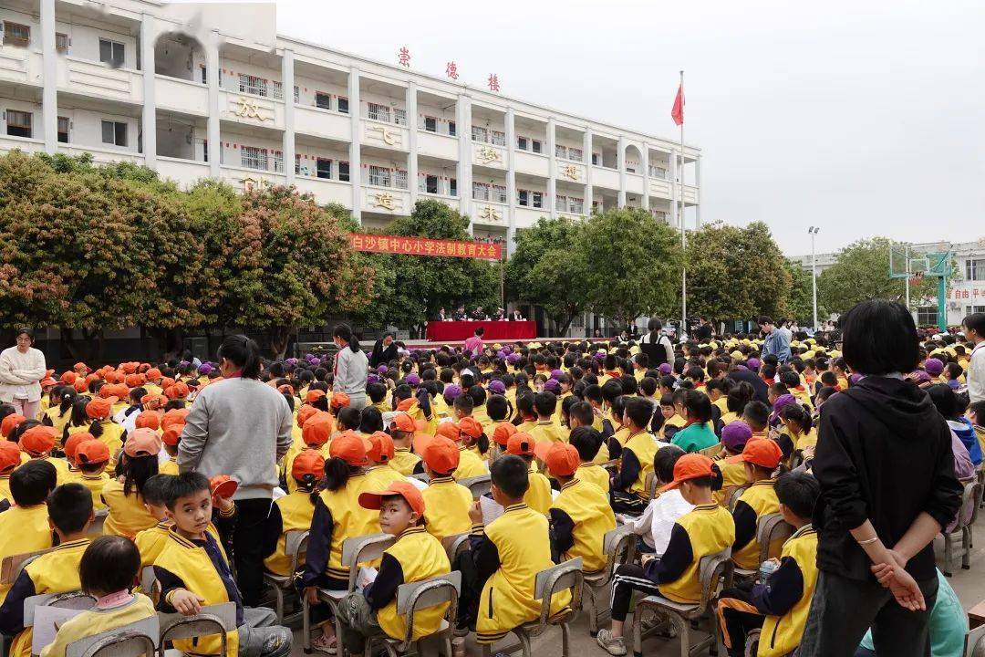 桂平白沙镇中心小学来警察了_宣传_教育引导_师生