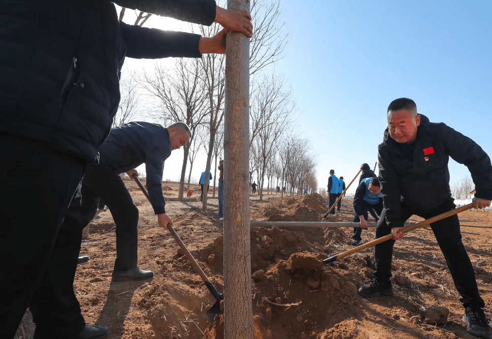 房山区生态情况局与韩村河镇共建生态林基地